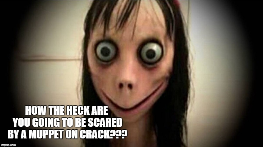 MoMo, The Whatsapp Girl | HOW THE HECK ARE YOU GOING TO BE SCARED BY A MUPPET ON CRACK??? | image tagged in momo the whatsapp girl | made w/ Imgflip meme maker