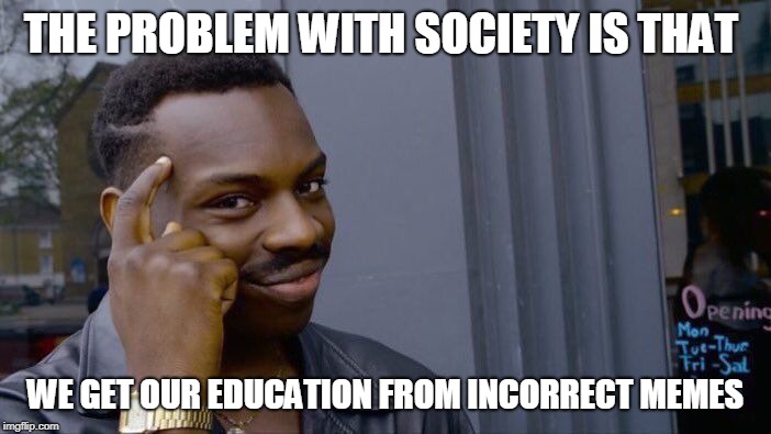 Roll Safe Think About It Meme | THE PROBLEM WITH SOCIETY IS THAT; WE GET OUR EDUCATION FROM INCORRECT MEMES | image tagged in memes,roll safe think about it | made w/ Imgflip meme maker