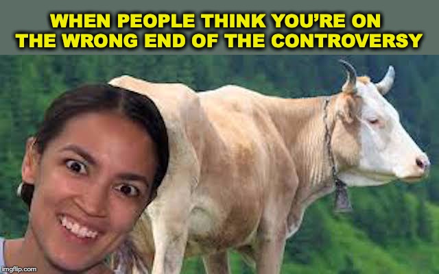 WHEN PEOPLE THINK YOU’RE ON THE WRONG END OF THE CONTROVERSY | image tagged in cows,farts,green party,ocasio-cortez | made w/ Imgflip meme maker