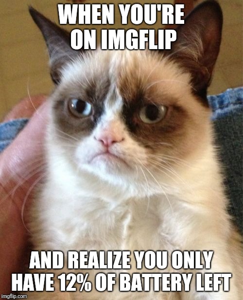 Grumpy Cat Meme | WHEN YOU'RE ON IMGFLIP; AND REALIZE YOU ONLY HAVE 12% OF BATTERY LEFT | image tagged in memes,grumpy cat | made w/ Imgflip meme maker