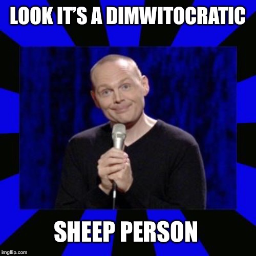 billith burrith | LOOK IT’S A DIMWITOCRATIC SHEEP PERSON | image tagged in billith burrith | made w/ Imgflip meme maker