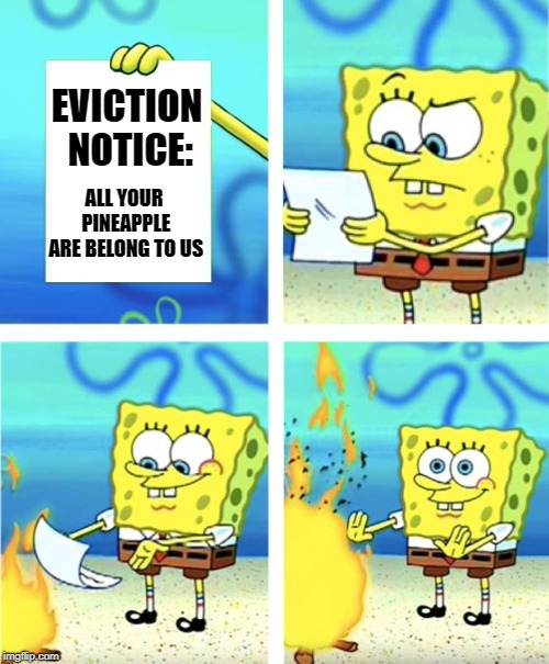 Spongebob Burning Paper | EVICTION NOTICE:; ALL YOUR PINEAPPLE ARE BELONG TO US | image tagged in spongebob burning paper | made w/ Imgflip meme maker