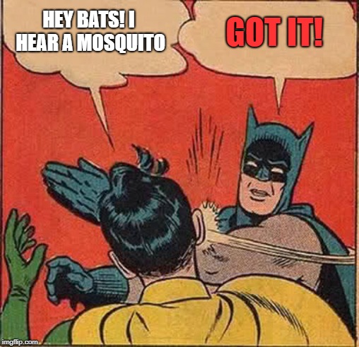Any excuse at all | GOT IT! HEY BATS! I HEAR A MOSQUITO | image tagged in memes,batman slapping robin,mosquito,abuse,insects | made w/ Imgflip meme maker
