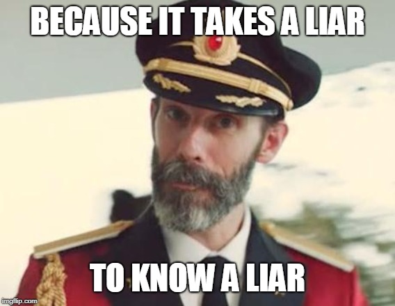 Captain Obvious | BECAUSE IT TAKES A LIAR TO KNOW A LIAR | image tagged in captain obvious | made w/ Imgflip meme maker