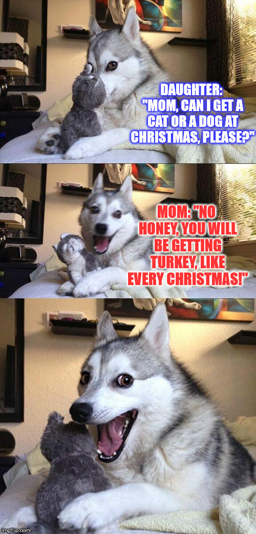 Poor kid... another year, same old meal... | DAUGHTER: "MOM, CAN I GET A CAT OR A DOG AT CHRISTMAS, PLEASE?"; MOM: "NO HONEY, YOU WILL BE GETTING TURKEY, LIKE EVERY CHRISTMAS!" | image tagged in memes,bad pun dog,funny,dogs,jokes,christmas | made w/ Imgflip meme maker
