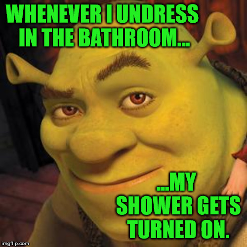 Shrek Sexy Face Memes Gifs Imgflip