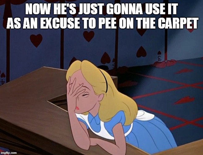 Alice in Wonderland Face Palm Facepalm | NOW HE'S JUST GONNA USE IT AS AN EXCUSE TO PEE ON THE CARPET | image tagged in alice in wonderland face palm facepalm | made w/ Imgflip meme maker