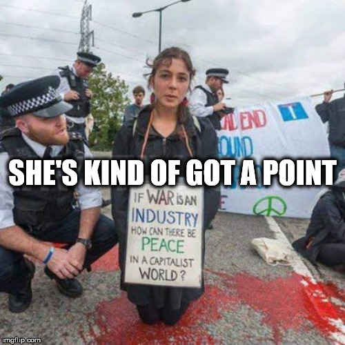 Think about it | SHE'S KIND OF GOT A POINT | image tagged in war,industry,peace,capitalist,world,protester | made w/ Imgflip meme maker