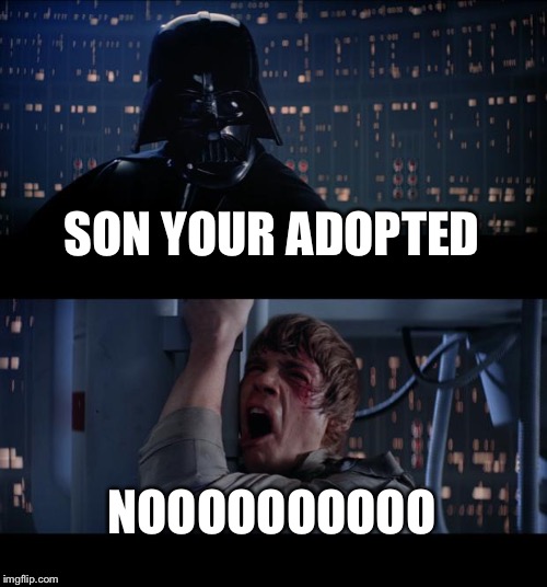 Star Wars No Meme | SON YOUR ADOPTED; NOOOOOOOOOO | image tagged in memes,star wars no | made w/ Imgflip meme maker