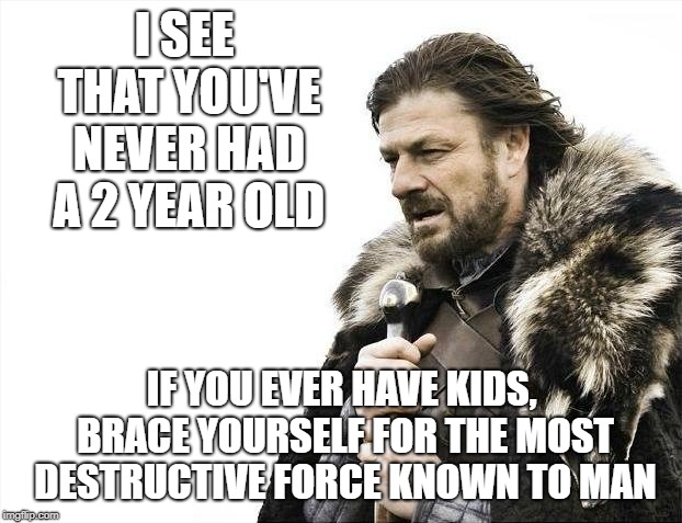 Brace Yourselves X is Coming Meme | I SEE THAT YOU'VE NEVER HAD A 2 YEAR OLD IF YOU EVER HAVE KIDS, BRACE YOURSELF FOR THE MOST DESTRUCTIVE FORCE KNOWN TO MAN | image tagged in memes,brace yourselves x is coming | made w/ Imgflip meme maker
