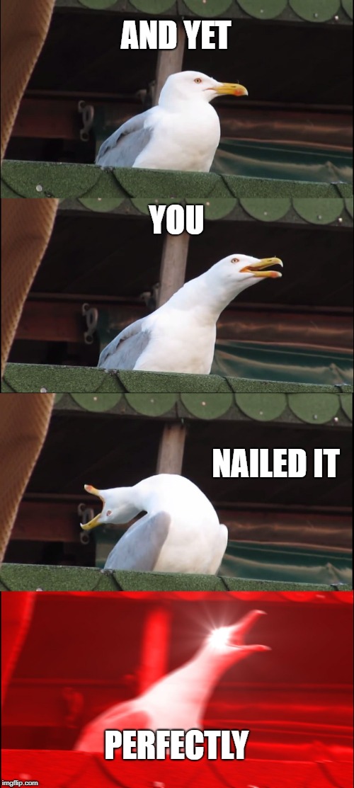 Inhaling Seagull Meme | AND YET YOU NAILED IT PERFECTLY | image tagged in memes,inhaling seagull | made w/ Imgflip meme maker
