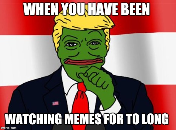 pepe trump | WHEN YOU HAVE BEEN; WATCHING MEMES FOR TO LONG | image tagged in memes | made w/ Imgflip meme maker