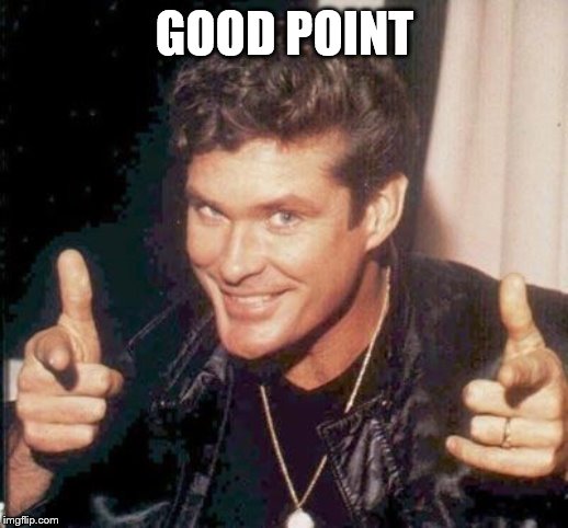 The Hoff thinks your awesome | GOOD POINT | image tagged in the hoff thinks your awesome | made w/ Imgflip meme maker