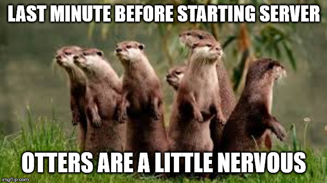 LAST MINUTE BEFORE STARTING SERVER; OTTERS ARE A LITTLE NERVOUS | made w/ Imgflip meme maker