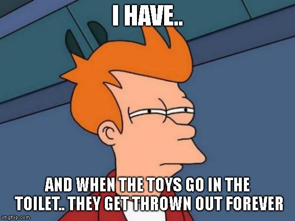 Futurama Fry Meme | I HAVE.. AND WHEN THE TOYS GO IN THE TOILET.. THEY GET THROWN OUT FOREVER | image tagged in memes,futurama fry | made w/ Imgflip meme maker
