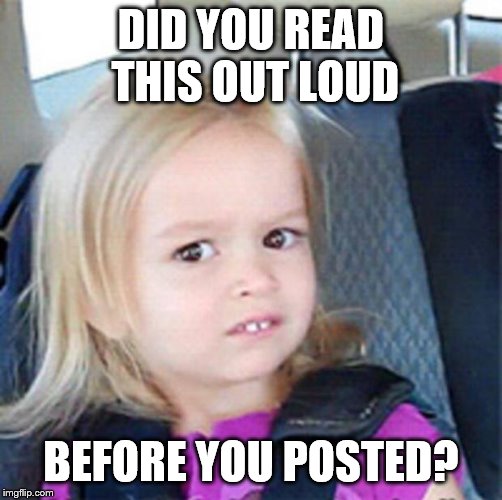 Confused Little Girl | DID YOU READ THIS OUT LOUD BEFORE YOU POSTED? | image tagged in confused little girl | made w/ Imgflip meme maker