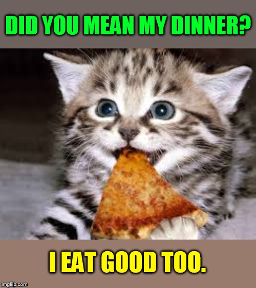 DID YOU MEAN MY DINNER? I EAT GOOD TOO. | made w/ Imgflip meme maker