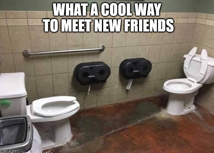 WHAT A COOL WAY TO MEET NEW FRIENDS | image tagged in friends,toilet | made w/ Imgflip meme maker