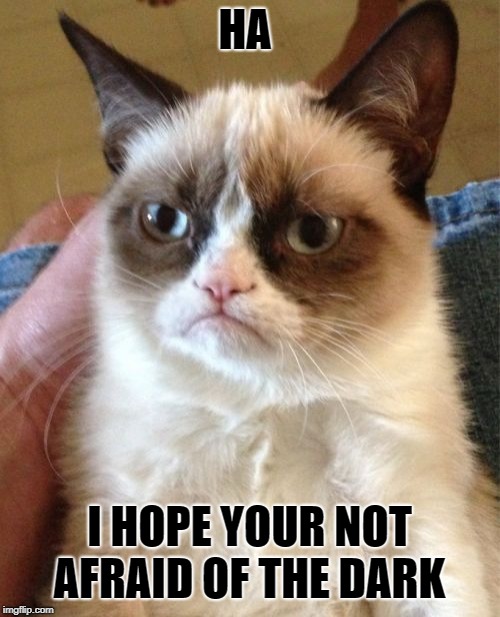 Grumpy Cat Meme | HA I HOPE YOUR NOT AFRAID OF THE DARK | image tagged in memes,grumpy cat | made w/ Imgflip meme maker
