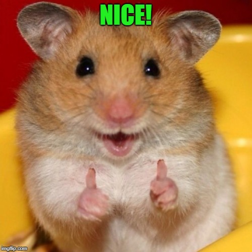 thumbs up | NICE! | image tagged in thumbs up | made w/ Imgflip meme maker