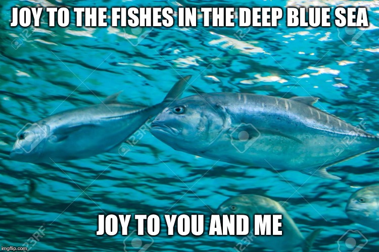 joy to the fishes in the deep blue sea | JOY TO THE FISHES IN THE DEEP BLUE SEA JOY TO YOU AND ME | image tagged in joy to the fishes in the deep blue sea | made w/ Imgflip meme maker