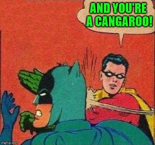Robin Slaps Batman | AND YOU'RE A CANGAROO! | image tagged in robin slaps batman | made w/ Imgflip meme maker