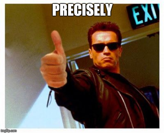 terminator thumbs up | PRECISELY | image tagged in terminator thumbs up | made w/ Imgflip meme maker