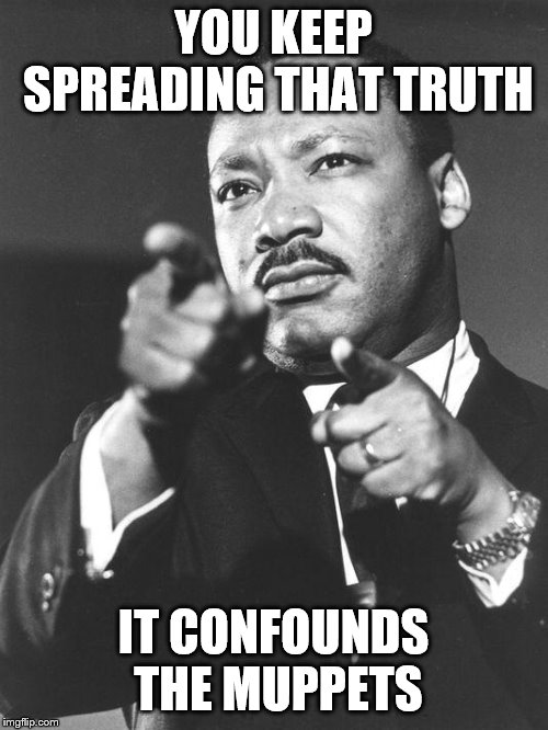 martin Luther King Jr  | YOU KEEP SPREADING THAT TRUTH IT CONFOUNDS THE MUPPETS | image tagged in martin luther king jr | made w/ Imgflip meme maker