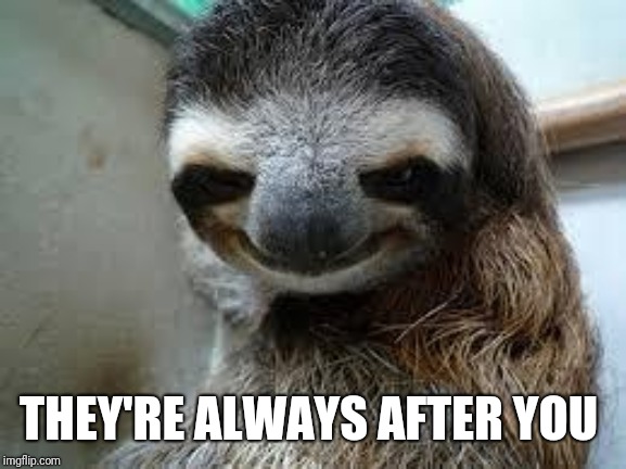 Creepy sloth | THEY'RE ALWAYS AFTER YOU | image tagged in creepy sloth | made w/ Imgflip meme maker