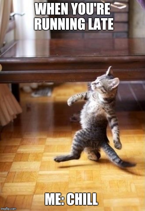 Cool Cat Stroll Meme | WHEN YOU'RE RUNNING LATE; ME: CHILL | image tagged in memes,cool cat stroll | made w/ Imgflip meme maker