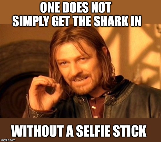 One Does Not Simply Meme | ONE DOES NOT SIMPLY GET THE SHARK IN WITHOUT A SELFIE STICK | image tagged in memes,one does not simply | made w/ Imgflip meme maker