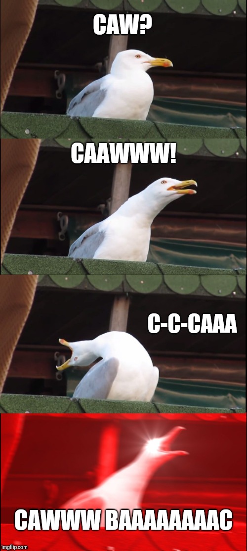 Inhaling Seagull | CAW? CAAWWW! C-C-CAAA; CAWWW BAAAAAAAAC | image tagged in memes,inhaling seagull | made w/ Imgflip meme maker