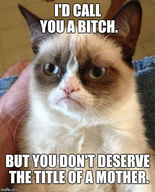 Grumpy Cat Meme | I'D CALL YOU A B**CH. BUT YOU DON'T DESERVE THE TITLE OF A MOTHER. | image tagged in memes,grumpy cat | made w/ Imgflip meme maker