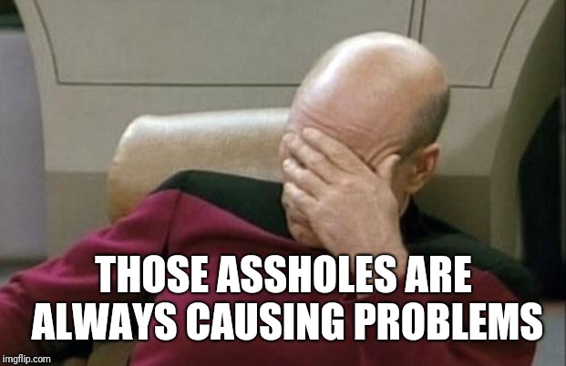 Captain Picard Facepalm Meme | THOSE ASSHOLES ARE ALWAYS CAUSING PROBLEMS | image tagged in memes,captain picard facepalm | made w/ Imgflip meme maker