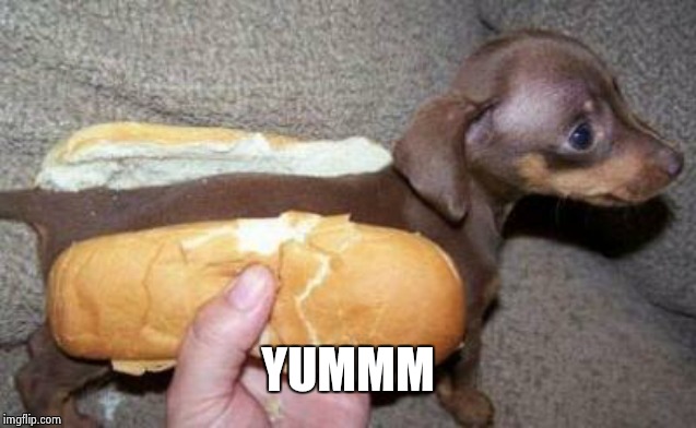 asian hot dog | YUMMM | image tagged in asian hot dog | made w/ Imgflip meme maker