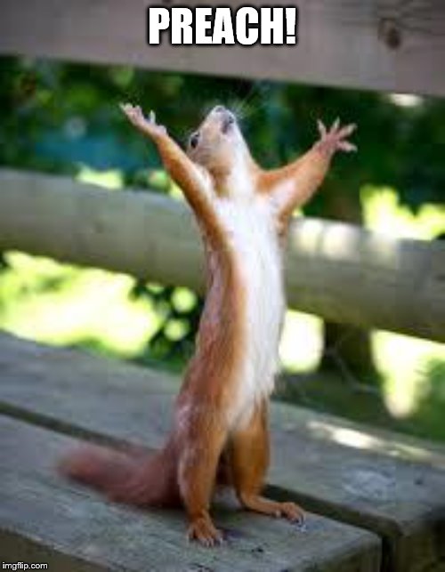 Praise Squirrel | PREACH! | image tagged in praise squirrel | made w/ Imgflip meme maker