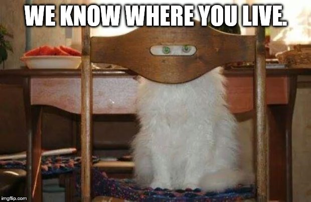 spycat | WE KNOW WHERE YOU LIVE. | image tagged in spycat | made w/ Imgflip meme maker