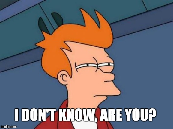 Futurama Fry Meme | I DON'T KNOW, ARE YOU? | image tagged in memes,futurama fry | made w/ Imgflip meme maker