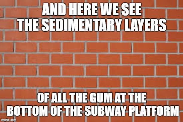 brick wall | AND HERE WE SEE THE SEDIMENTARY LAYERS OF ALL THE GUM AT THE BOTTOM OF THE SUBWAY PLATFORM | image tagged in brick wall | made w/ Imgflip meme maker