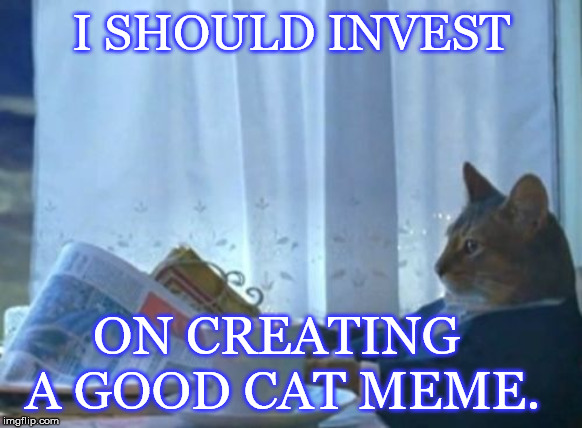 A lazy cat meme. :) | I SHOULD INVEST; ON CREATING A GOOD CAT MEME. | image tagged in memes,i should buy a boat cat,funny,cat,newspaper | made w/ Imgflip meme maker