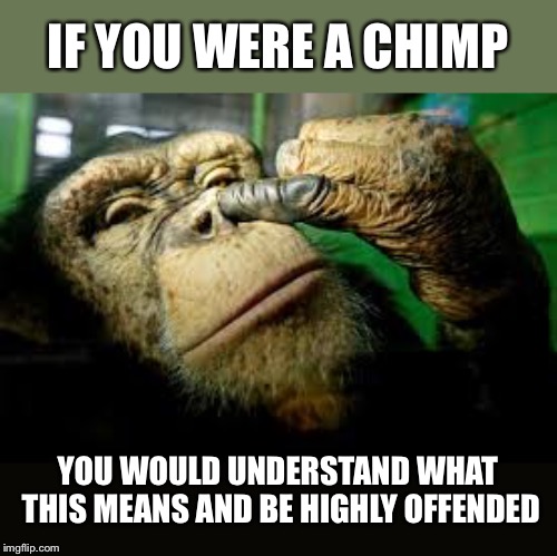 It’s is however directed at you | IF YOU WERE A CHIMP; YOU WOULD UNDERSTAND WHAT THIS MEANS AND BE HIGHLY OFFENDED | image tagged in chimp,nose picker,you gonna eat that | made w/ Imgflip meme maker
