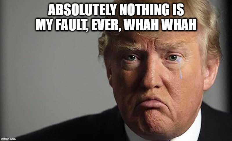 ABSOLUTELY NOTHING IS MY FAULT, EVER, WHAH WHAH | made w/ Imgflip meme maker