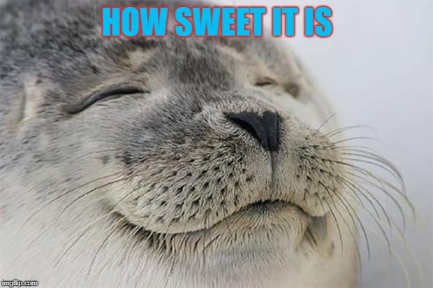 Satisfied Seal Meme | HOW SWEET IT IS | image tagged in memes,satisfied seal | made w/ Imgflip meme maker