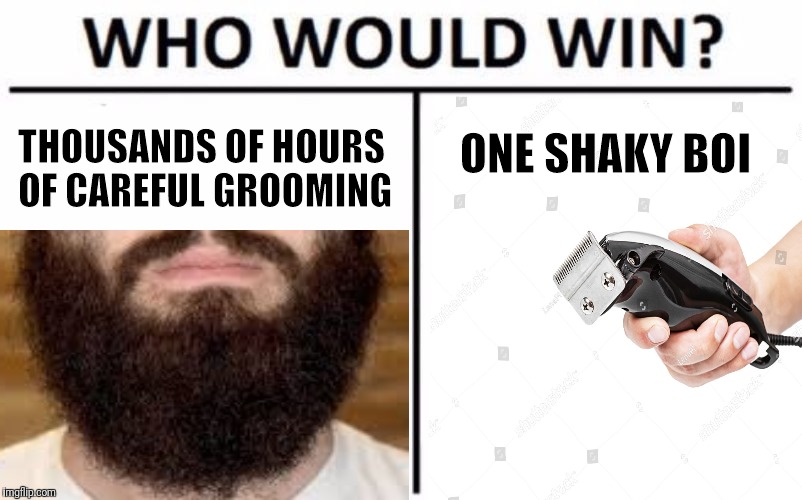 ONE SHAKY BOI; THOUSANDS OF HOURS OF CAREFUL GROOMING | image tagged in who would win | made w/ Imgflip meme maker