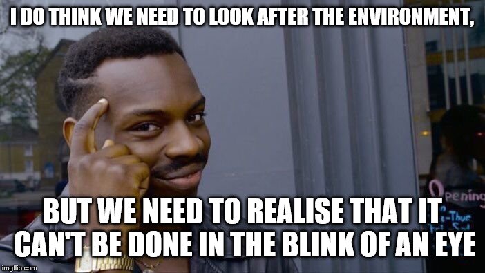 Roll Safe Think About It Meme | I DO THINK WE NEED TO LOOK AFTER THE ENVIRONMENT, BUT WE NEED TO REALISE THAT IT CAN'T BE DONE IN THE BLINK OF AN EYE | image tagged in memes,roll safe think about it | made w/ Imgflip meme maker