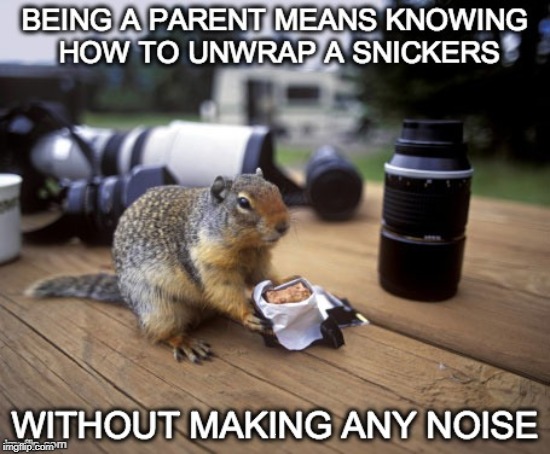 LOL! This is so true! | . | image tagged in squirrel,lol,funny,hilarious,humorous,giggly | made w/ Imgflip meme maker