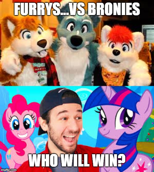 furrys VS bronies | FURRYS...VS BRONIES; WHO WILL WIN? | image tagged in fight | made w/ Imgflip meme maker