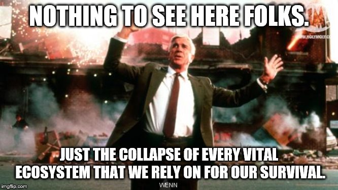 Nothing to See Here | NOTHING TO SEE HERE FOLKS. JUST THE COLLAPSE OF EVERY VITAL ECOSYSTEM THAT WE RELY ON FOR OUR SURVIVAL. | image tagged in nothing to see here | made w/ Imgflip meme maker