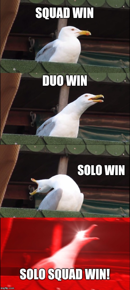 Inhaling Seagull Meme | SQUAD WIN; DUO WIN; SOLO WIN; SOLO SQUAD WIN! | image tagged in memes,inhaling seagull | made w/ Imgflip meme maker