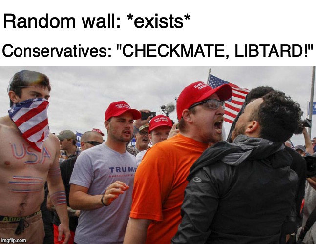 Angry Red Cap | Random wall: *exists*; Conservatives: "CHECKMATE, LIBTARD!" | image tagged in donald trump,wall | made w/ Imgflip meme maker